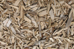 biomass boilers Fairmilehead